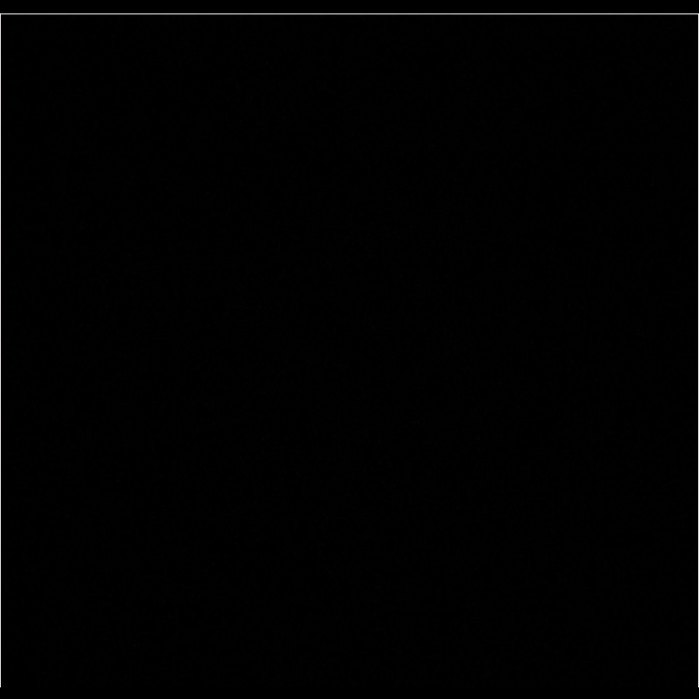 Meet your Posher, Cinthia